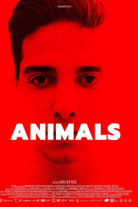 Animals streaming