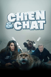 Chien et Chat streaming