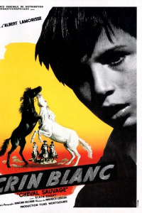Crin blanc: Le cheval sauvage streaming