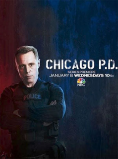 voir Chicago Police Department Saison 10 en streaming 