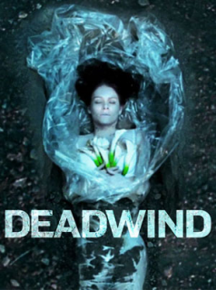 voir Deadwind Saison 3 en streaming 