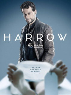 voir serie Dr Harrow en streaming