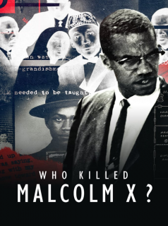 Who killed Malcolm X? streaming