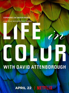 La Vie en couleurs avec David Attenborough streaming