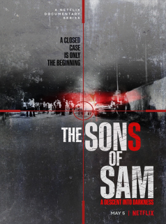 Les Fils de Sam : L'horreur sans fin streaming