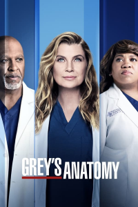 voir serie Grey's Anatomy en streaming