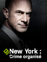 voir serie New York : Crime Organisé en streaming