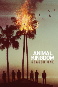 voir Animal Kingdom Saison 1 en streaming 