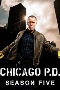 voir Chicago Police Department Saison 5 en streaming 