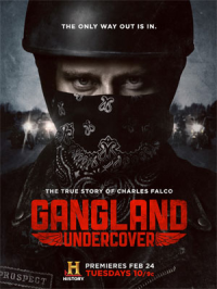voir serie Gangland Undercover en streaming