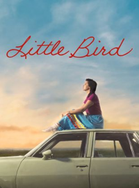 voir serie Little Bird en streaming