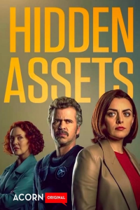 voir Hidden Assets (2021) Saison 2 en streaming 
